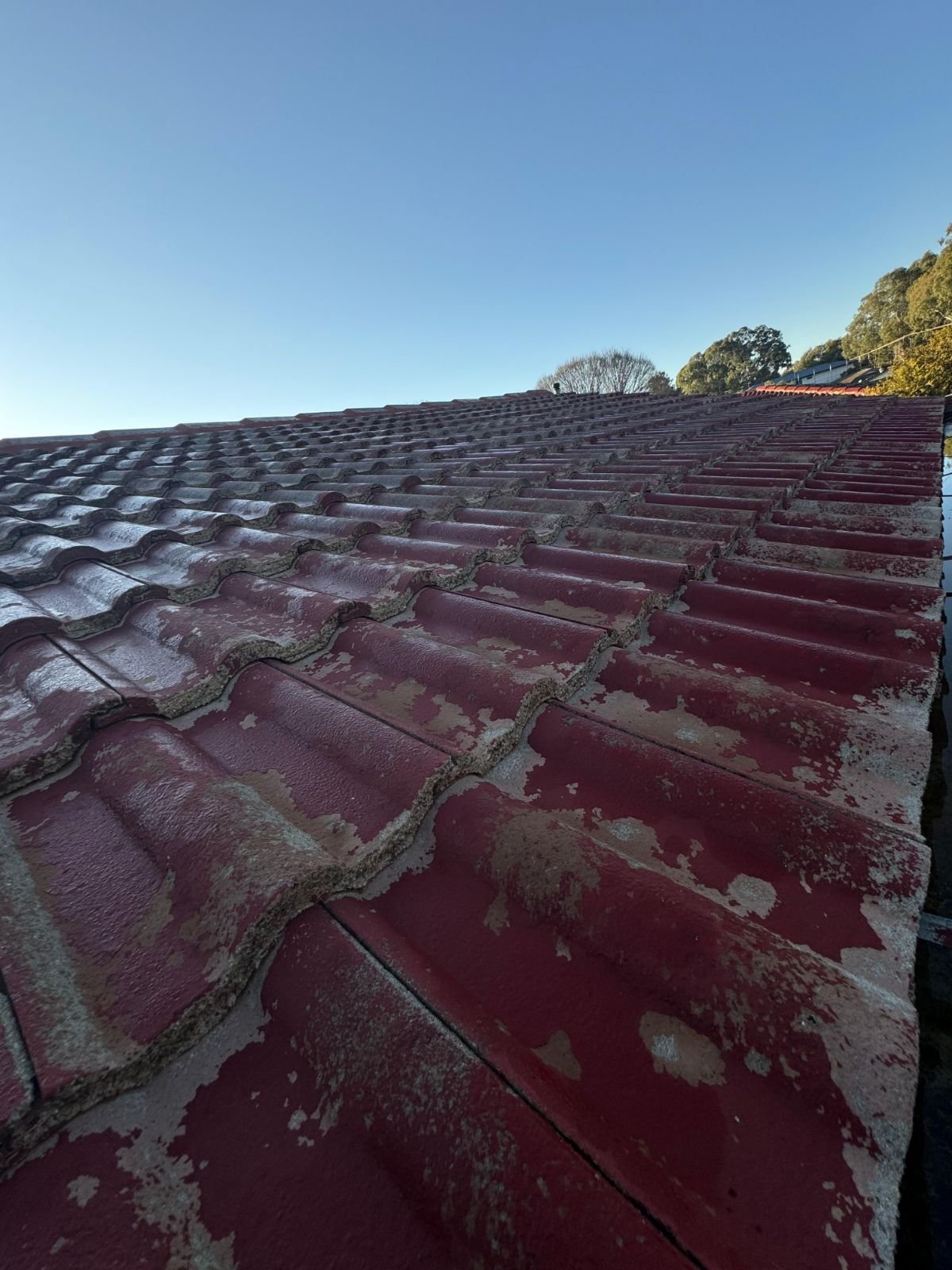 Roof before restoration