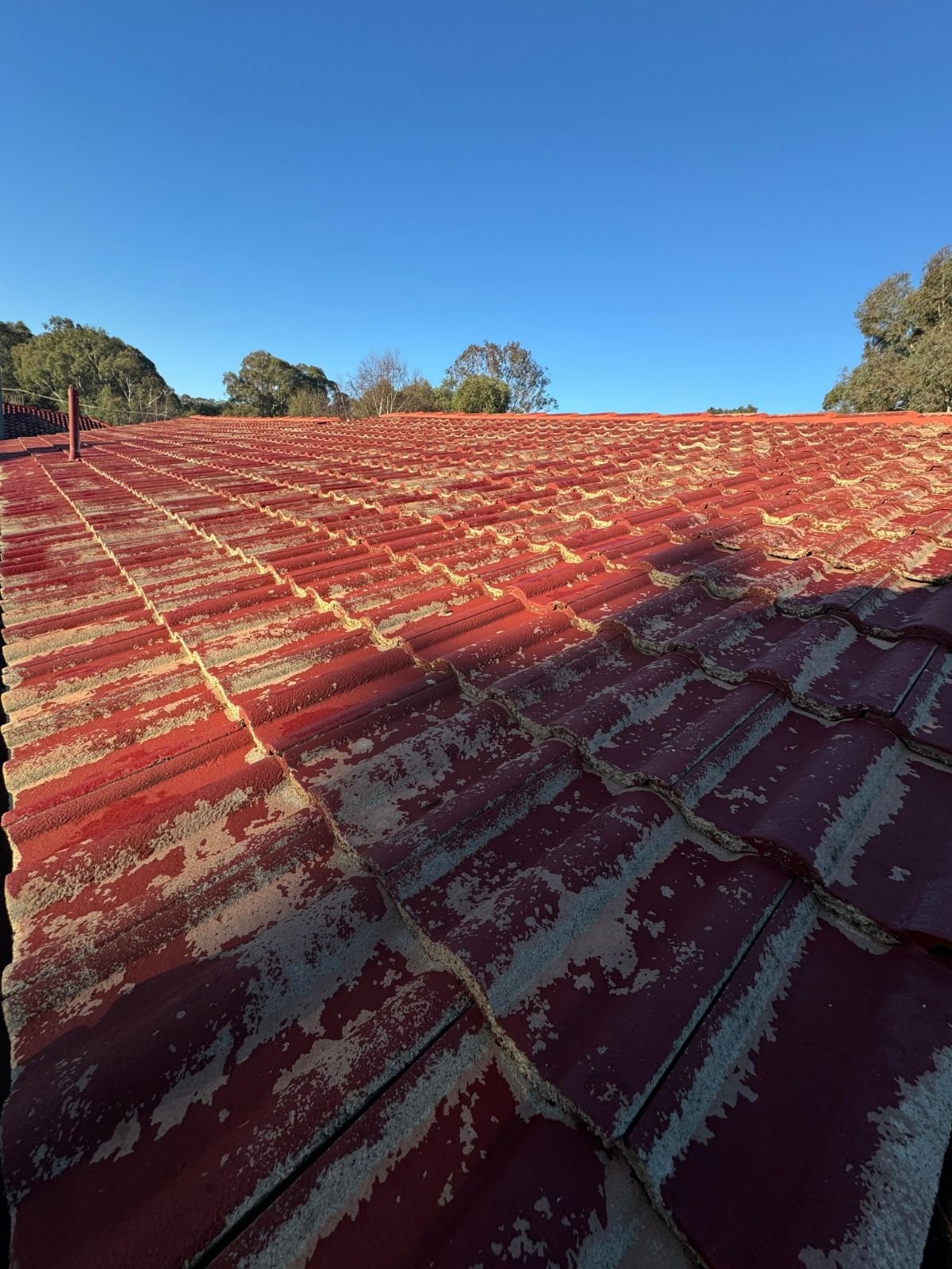 Roof before restoration
